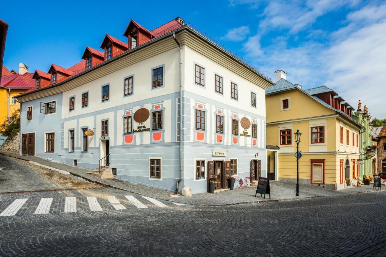 호텔 살라만더 Banská Štiavnica 외부 사진